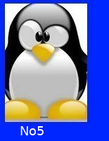no5