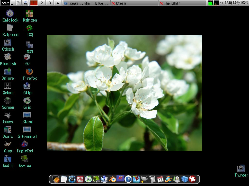 EL Barg Red and ICEWM 