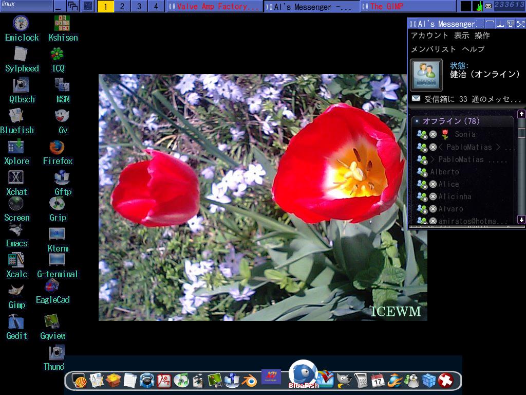 ICEWM+BlueHeart+AMSN+Wbar+idesk