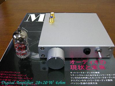 20W Power Digital Amplifier