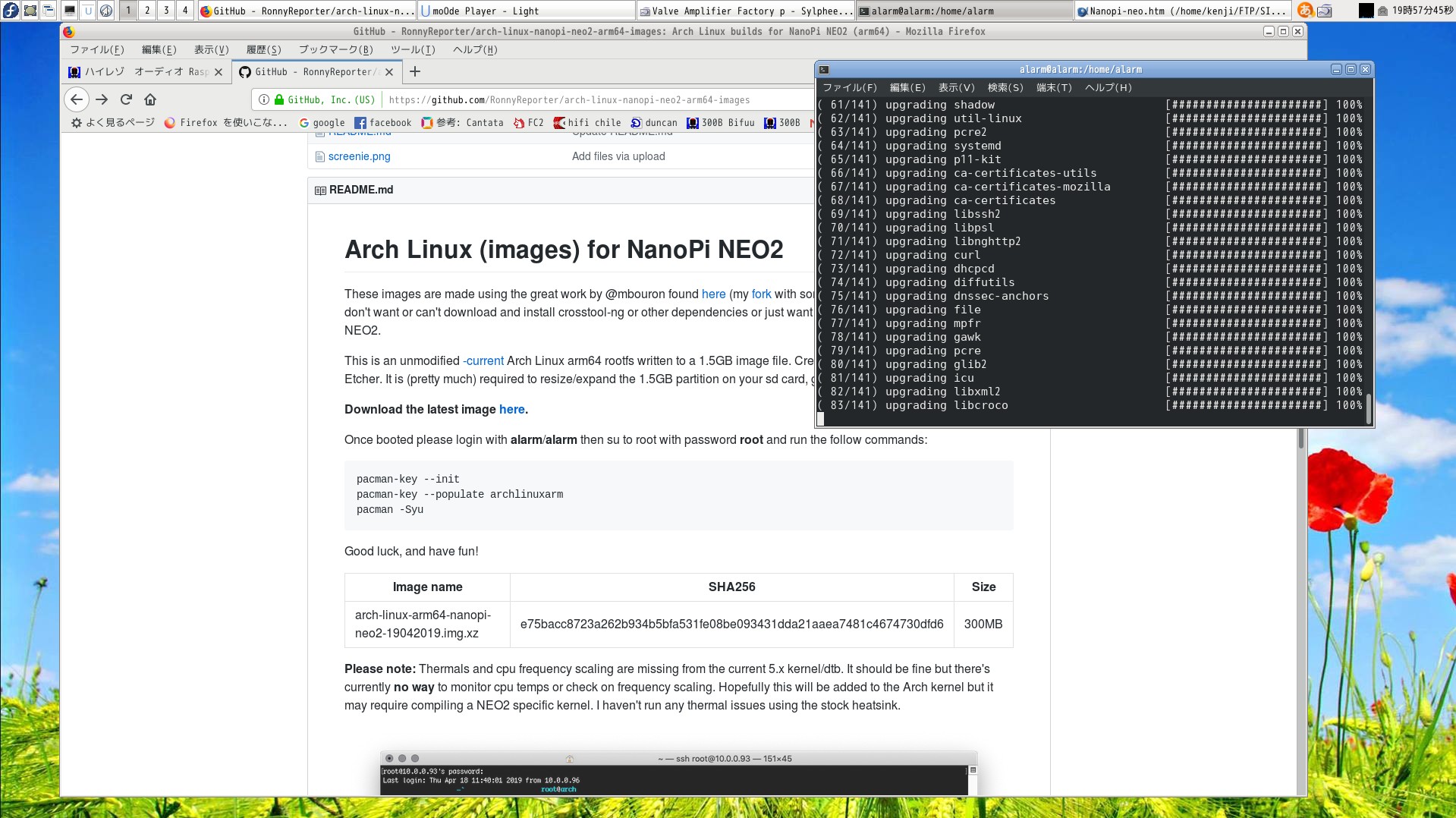 installing Nanopi-Neo2 archlinux
