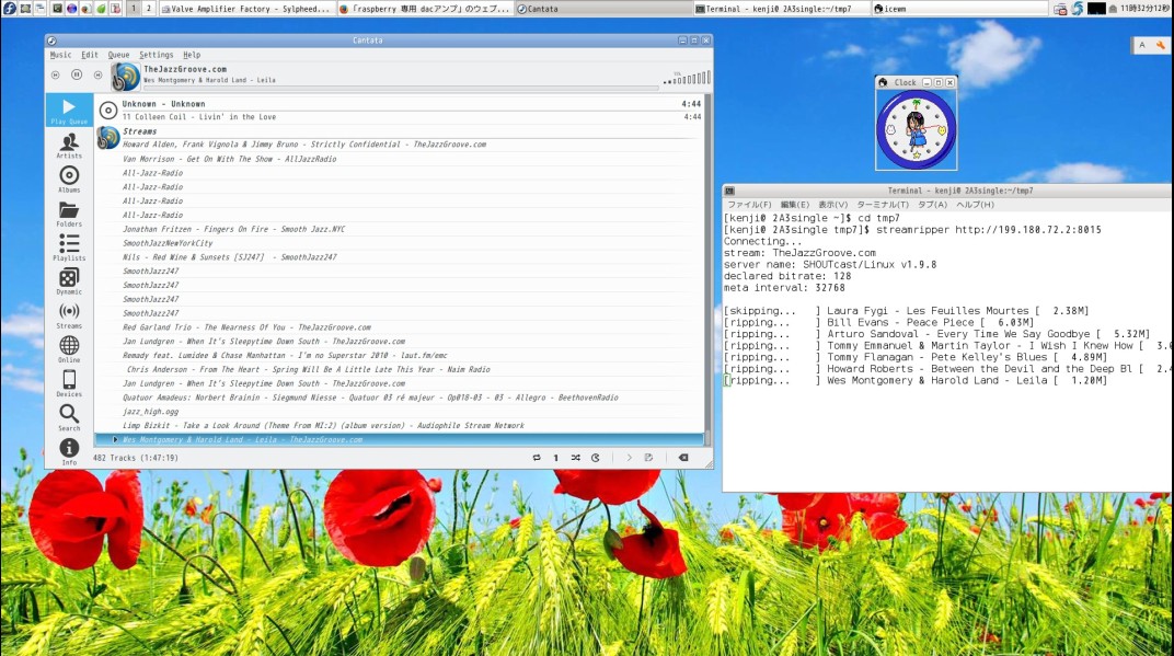 recording for Raspberry pi server.