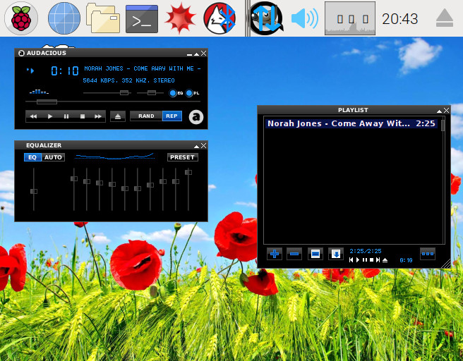 play DSF by Audacious Rasbian