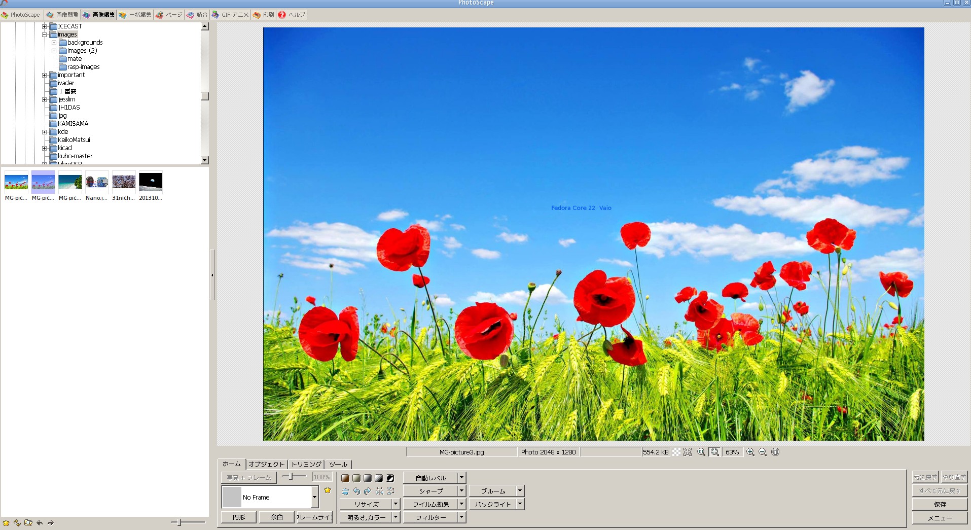 photoscape X for windows