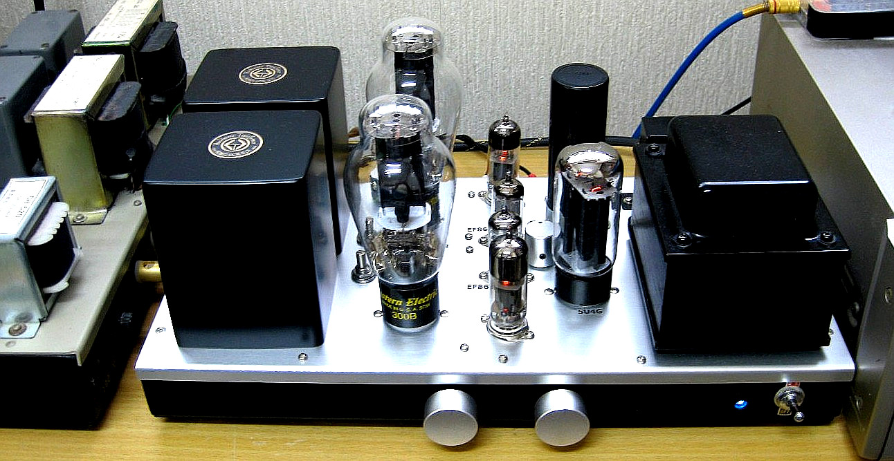 WE300B Single Ended Amplifier 2016